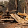 Oregon Wildfire: Boy With Dog on His Lap Found Dead Inside Car