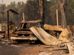 Oregon Wildfire: Boy With Dog on His Lap Found Dead Inside Car