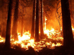 California Wildfires Ruining Residential Areas