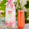 DRY Botanical Bubbly Sober October Mocktail Recipes You'll Want to Try