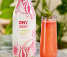  DRY Botanical Bubbly Sober October Mocktail Recipes You'll Want to Try