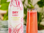  DRY Botanical Bubbly Sober October Mocktail Recipes You'll Want to Try