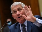 Fauci Says Herd Immunity for COVID-19  Is 'Dangerous’ and ‘Nonsense’