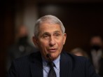 Dr. Anthony Fauci Testifies Before Senate On Federal Response To Pandemic