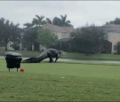 Gigantic Alligator Spotted Strolling in Across Valencia Golf Course in Florida