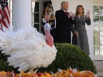 How Do Trump, Biden Celebrate Thanksgiving This Year?