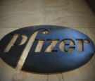 US Advisory Panel Endorses Widespread Use of Pfizer COVID-19 Vaccine