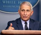 Dr. Anthony Fauci