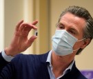 Newsom Recall Drive in California Picks up Steam