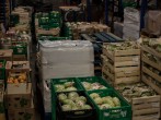 Food Banks Raise Alarm Over Child Hunger as the Pandemic Continues
