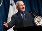 Fauci Says Vaccine Rollout Speeding Up, Could Be Fully on Track in a Week