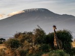 Spend your vacations hiking through Mount Kilimanjaro 