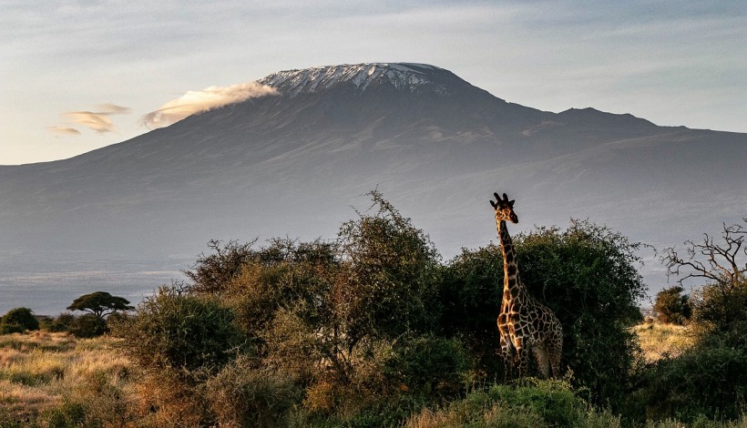 Spend your vacations hiking through Mount Kilimanjaro 