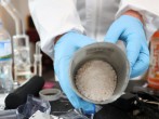 Inside An Auckland Methaphetamine Lab