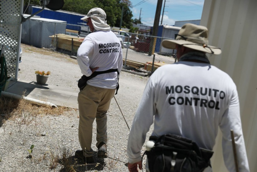 Florida Residents Furious at Plan to Release Millions of Genetically Altered Mosquitoes