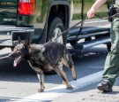 Customs And Border Patrol Keep Watch At U.S.-Canada Border