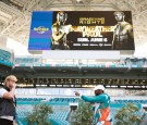 Wild Brawl Between Jake Paul and Floyd Mayweather Ensued During Press Conference