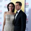 Brad Pitt Wins Joint Custody Against Angelina Jolie