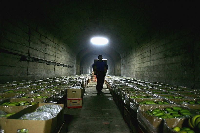 Banana Wholesalers Use Funk Holes As Storages and Dormitories In Wuhan