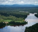  Amazon Rainforest in Brazil Is Being Plagued by Armed Violence Linked to Illegal Gold Mining