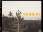 Noah Singer's Single 'Sunrise' August 2021 Release: Trouble Couples Would Should Listen to This Song 