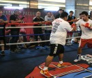 BOX-MAS-PHI-ARG-PACQUIAO-MATTHYSSE