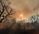 Balloon Starts Large Fire in Brazil Park; Rain of Ash Hits Sao Paulo