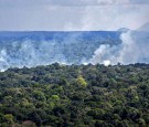 Indigenous Groups Push to Protect 80 Percent of Amazon From Deforestation