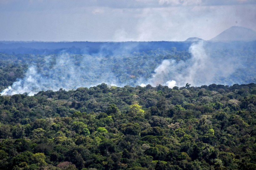 Indigenous Groups Push to Protect 80 Percent of Amazon From Deforestation