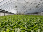 Tech Innovations in Farming for Sustainable Future