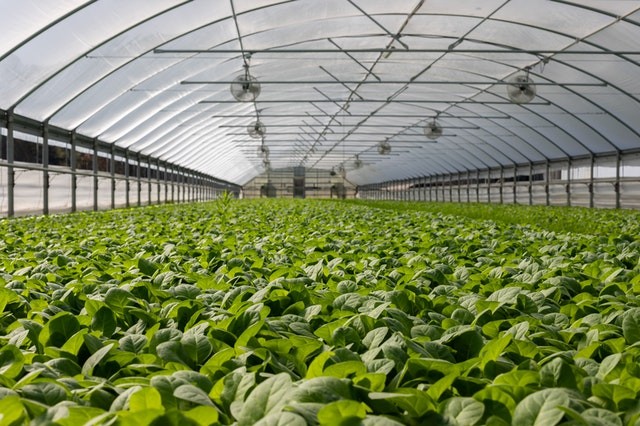 Tech Innovations in Farming for Sustainable Future