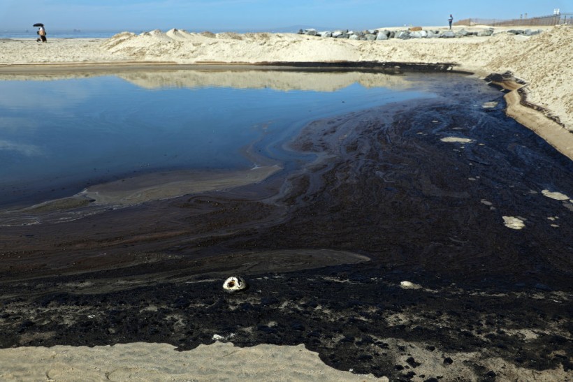 Massive California Oil Spill Sends Crude Onto Orange County Coast, Killing Marine Life and Birds