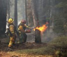 Dixie Fire Continues To Burn Through Northern California, Forcing Evacuations