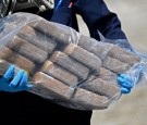 Federal Agents Arrest 3 Men in Mexico-Chicago Cocaine Pipeline After 220 Pounds of Cocaine Seize in Private Plane