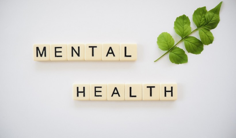 Should Employers Offer Mental Health Resources to Employees for Free?