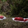 Mexico: 2 Bodies With Gunshot Wounds, One Wrapped in Plastic, Found Near Guanajuato River Amid Drug Cartel Wars