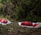 Mexico: 2 Bodies With Gunshot Wounds, One Wrapped in Plastic, Found Near Guanajuato River Amid Drug Cartel Wars