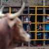Mexico Legislators Seek to Ban Bullfighting 