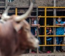 Mexico Legislators Seek to Ban Bullfighting 