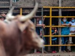 Mexico Legislators Seek to Ban Bullfighting 