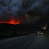 Argentina Wildfires: More Than $240 Million in Losses From Fires Burning Farms, Wildlife