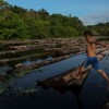 Brazil: Mining Firms Eyeing to Expand to Protected Indigenous Lands in Amazon Rainforest