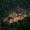 Amazon Rainforest Nearing Dangerous Environmental “Tipping Point”; Trees May Die Off en Masse – Researchers