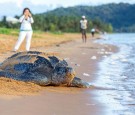 French Guiana: Top Tourist Attractions That Every Traveler Needs to See