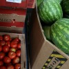 SNAP Benefits 2022: Expert Concerned Food Assistance Program in Texas Might End in Summer