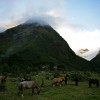 Peru Targets to Become 2022's Sustainable Destination | 5 Top Eco-Friendly Attractions to Visit