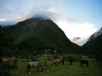 Peru Targets to Become 2022's Sustainable Destination | 5 Top Eco-Friendly Attractions to Visit
