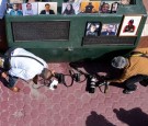 2 Mexican Women Journalists Murdered by Armed Men in Mexico's State of Veracruz