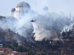 Los Angeles Police Detains Suspected Arsonist of the Brush Fire That Threatened Griffith Observatory and Prompt Evacuations
