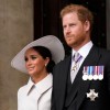 Queen Elizabeth Jubilee 2022: Prince Harry, Meghan Markle Get Boos and Cheers, 5 Military Members Faint